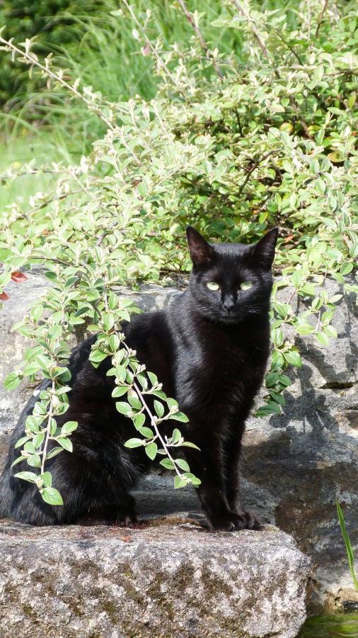 Clan Boucheron Louroux-Bourbonnais Екстер'єр фото